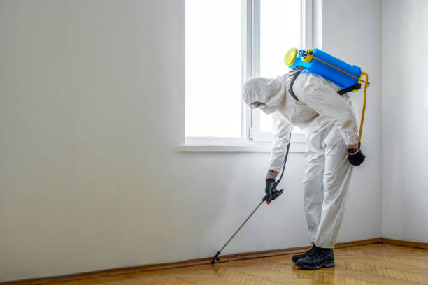 Professional Pest Control in Flowing Wells, AZ